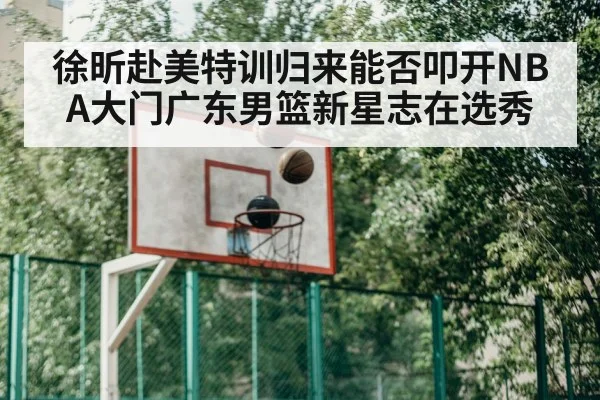 basketball training